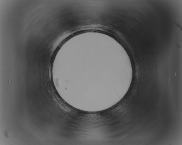 X0000103301320200809261304