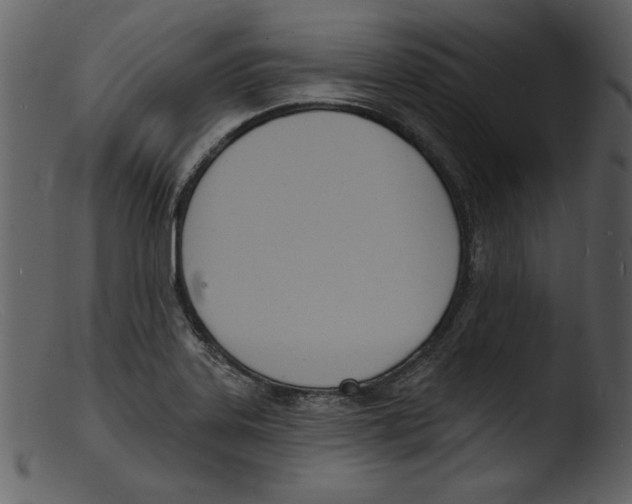 X0000103301323200809261304