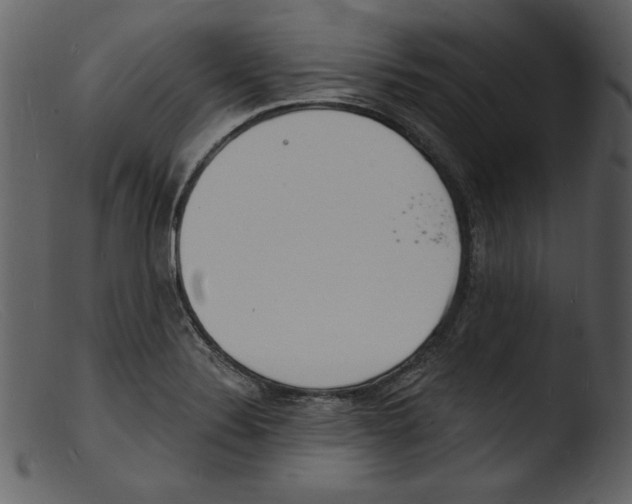 X0000103301324200809261304