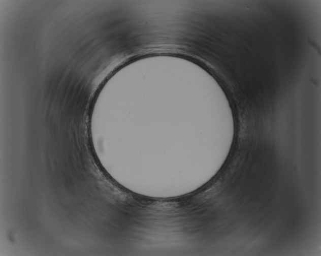 X0000103301325200809261304