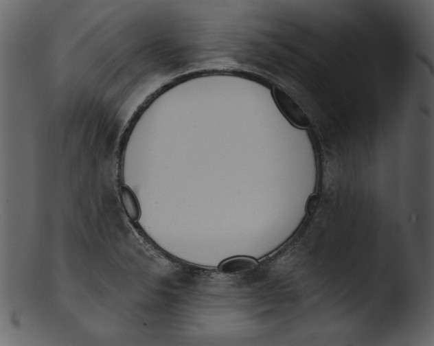 X0000103301326200809261304