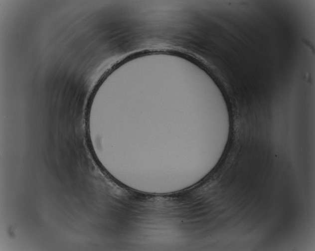 X0000103301327200809261304