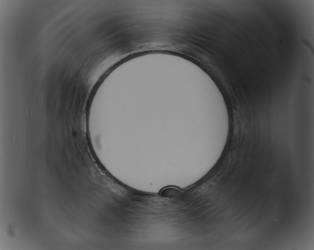 X0000103301328200809261304
