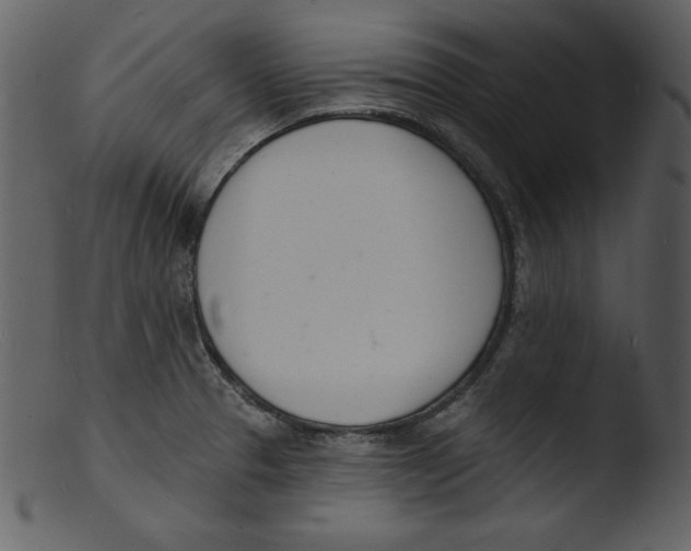X0000103301329200809261304