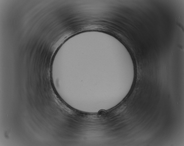 X0000103301330200809261304