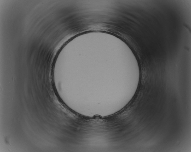 X0000103301331200809261304
