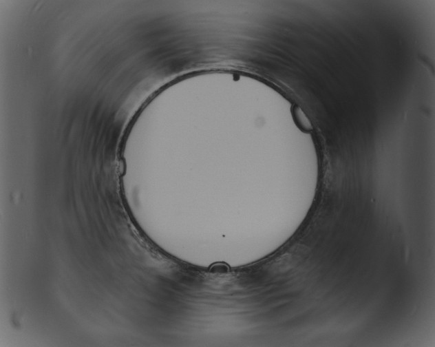 X0000103301332200809261304