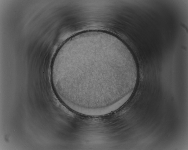 X0000103301334200809261304