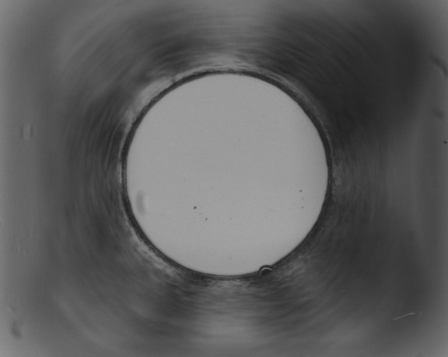X0000103301335200809261304