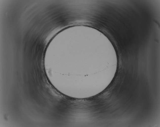 X0000103301336200809261304