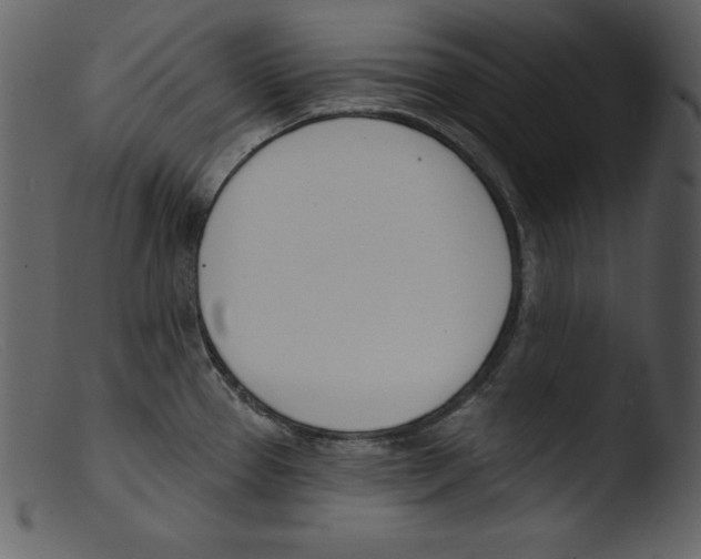 X0000103301337200809261304