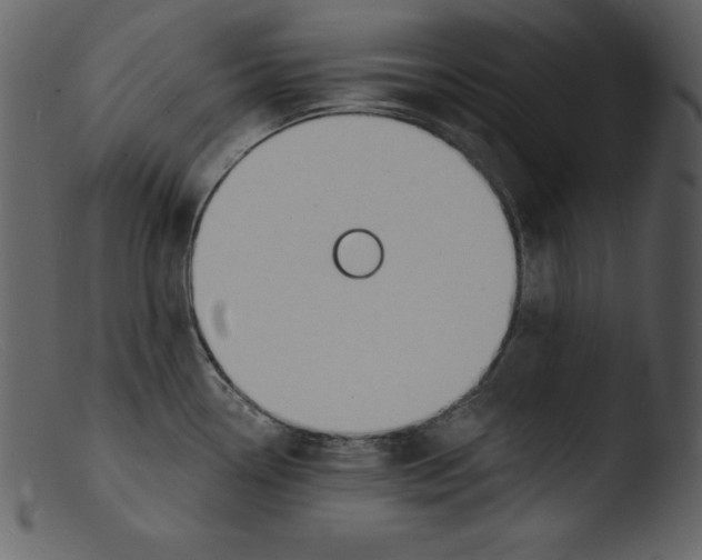 X0000103301338200809261304