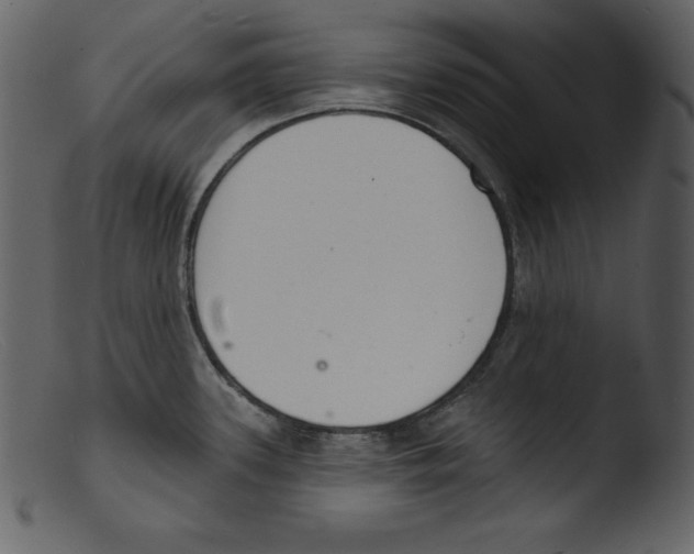 X0000103301339200809261304