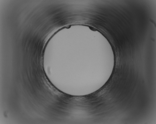 X0000103301340200809261304