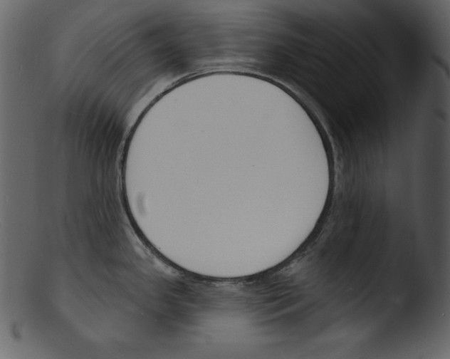 X0000103301341200809261304