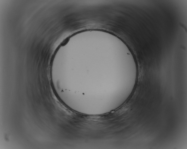 X0000103301342200809261304