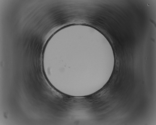 X0000103301343200809261304