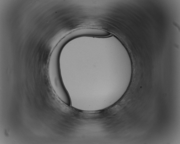 X0000103301344200809261304