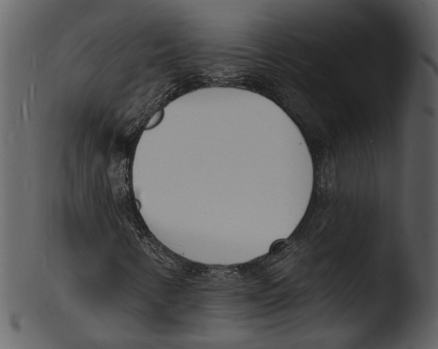 X0000103301346200809261303