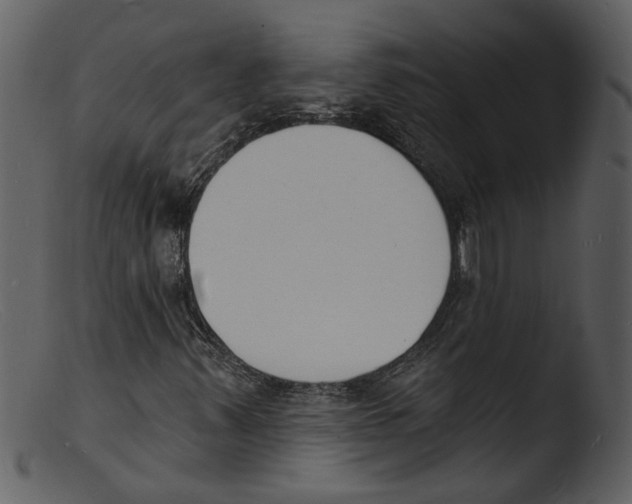 X0000103301347200809261303