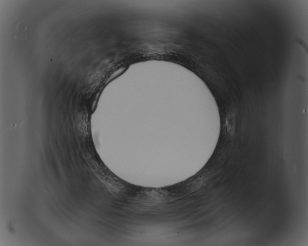 X0000103301348200809261303