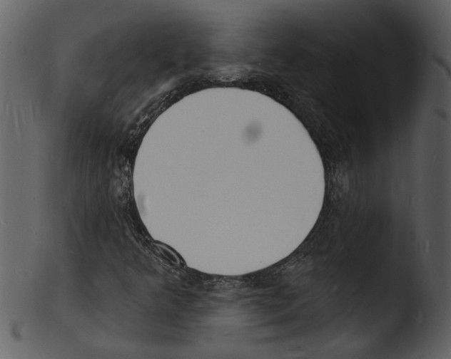 X0000103301349200809261303