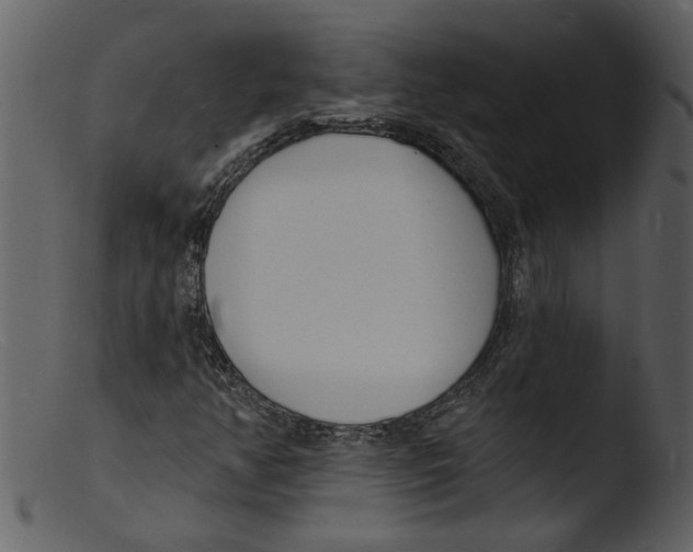 X0000103301350200809261303