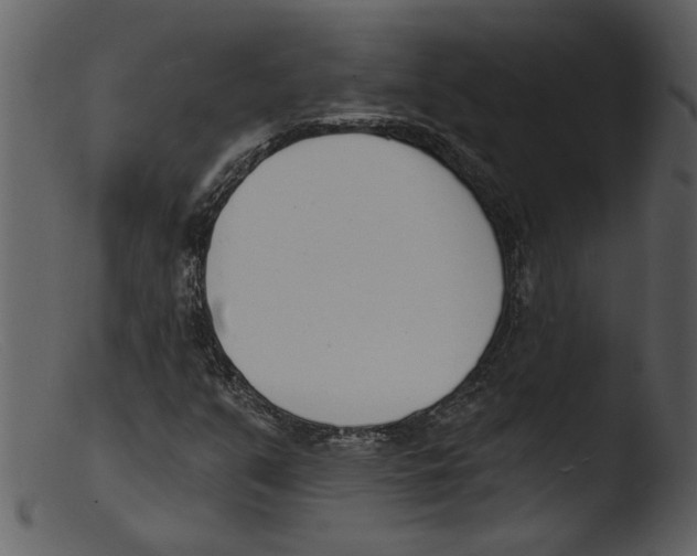 X0000103301351200809261303