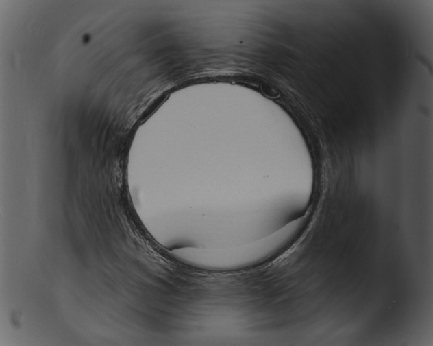 X0000103301353200809261303