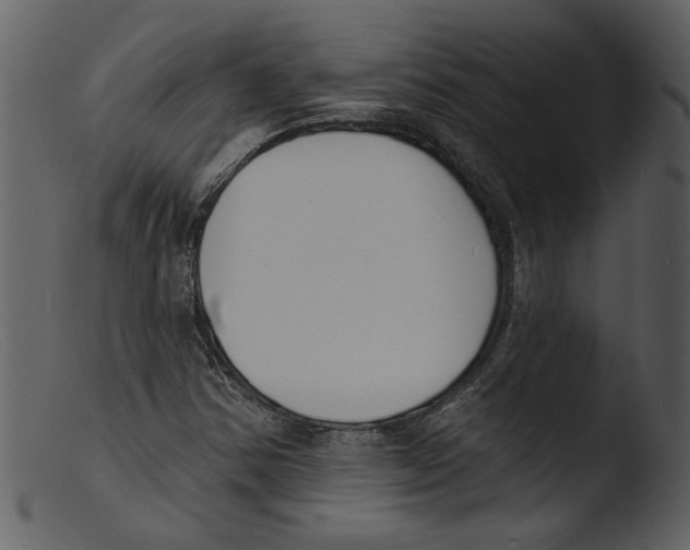 X0000103301354200809261303