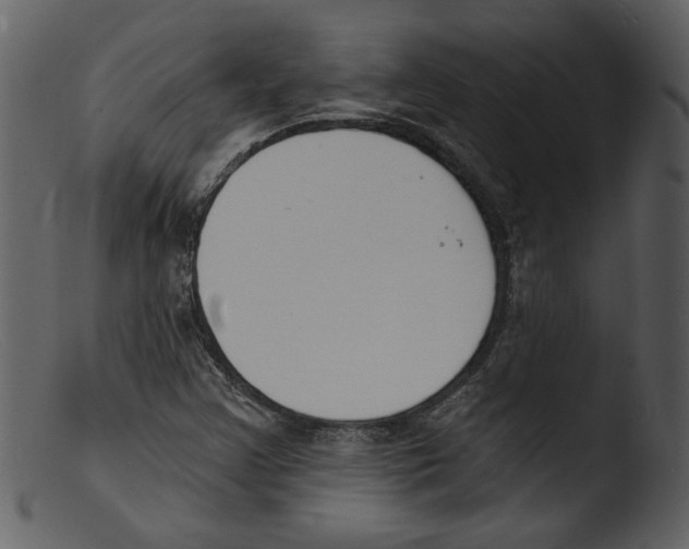 X0000103301355200809261303