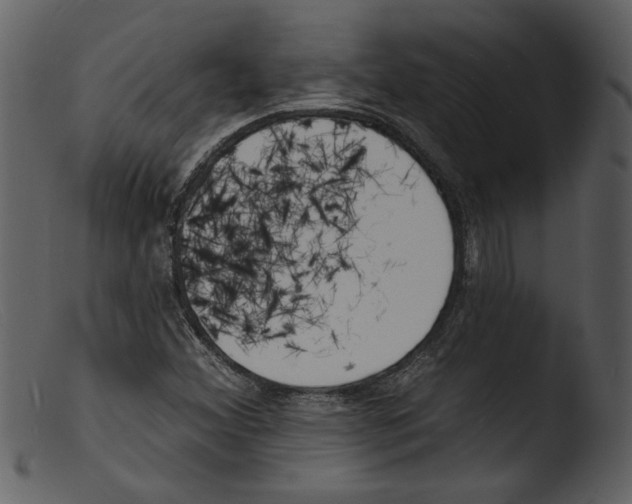 X0000103301356200809261303