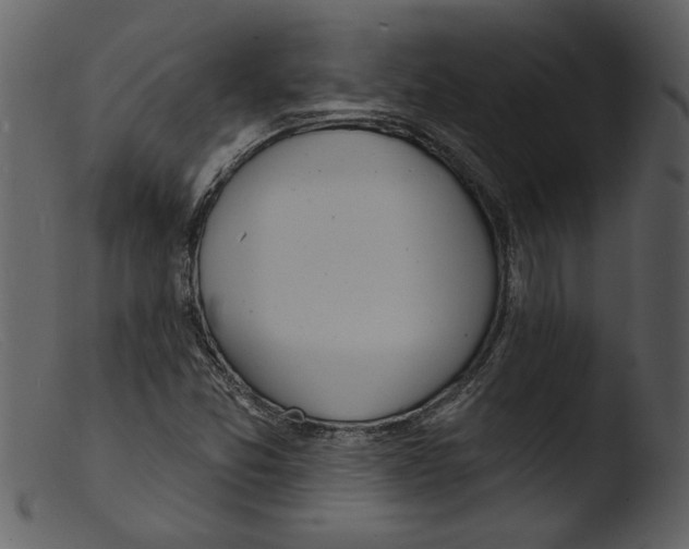 X0000103301357200809261303