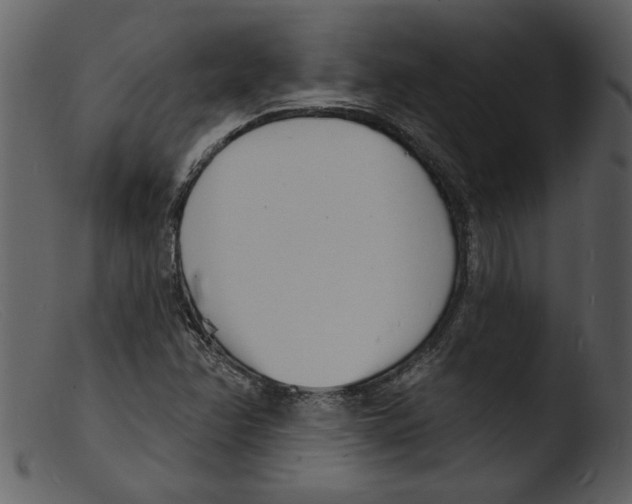 X0000103301358200809261303