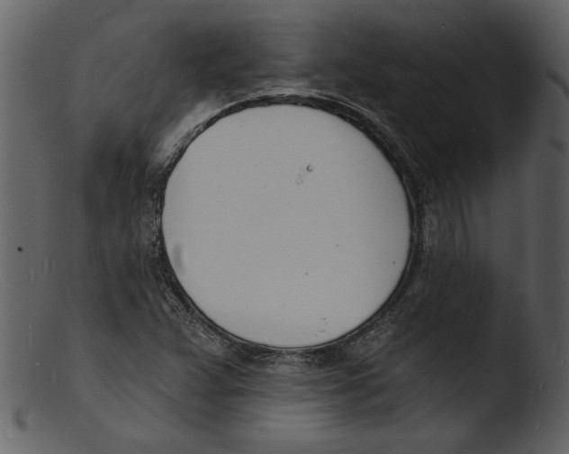 X0000103301359200809261303