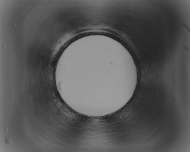 X0000103301360200809261303