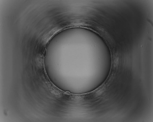 X0000103301361200809261303