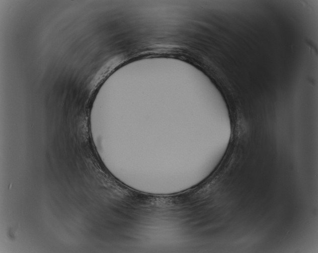 X0000103301362200809261303