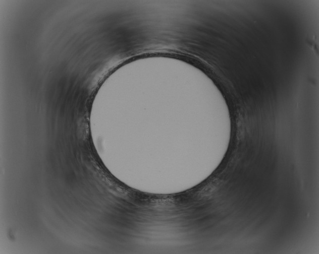 X0000103301363200809261303