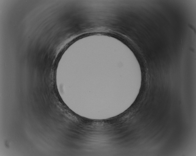 X0000103301364200809261303