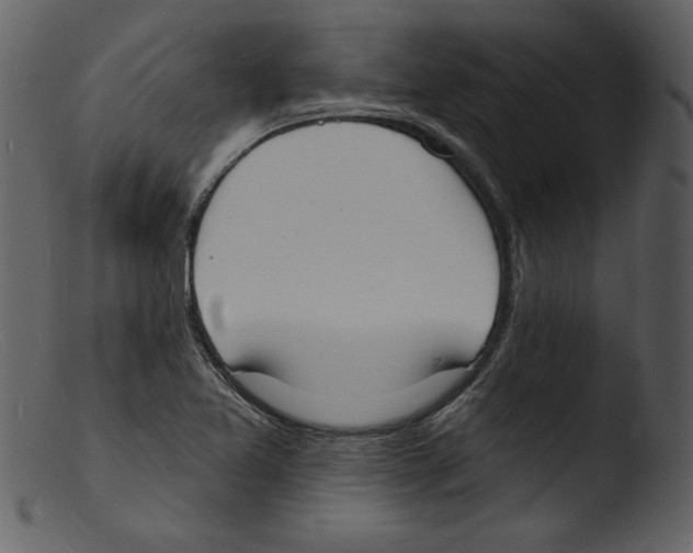 X0000103301365200809261303