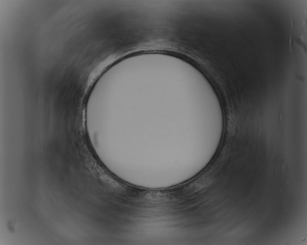 X0000103301366200809261303