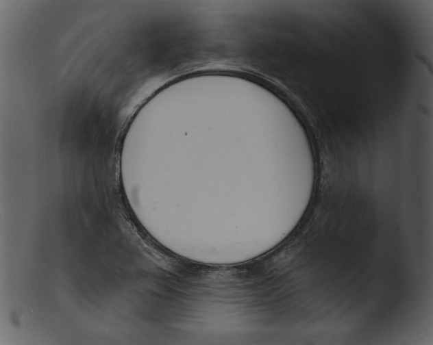 X0000103301367200809261303