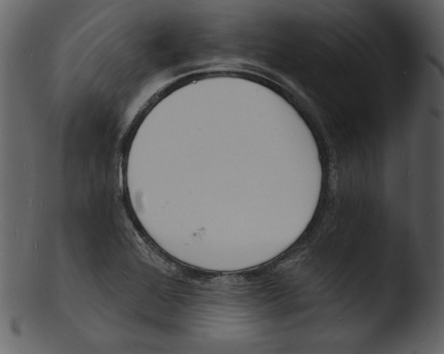 X0000103301368200809261303