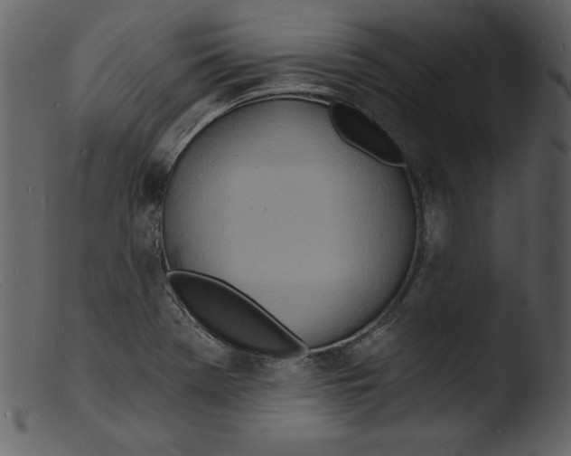 X0000103301369200809261303