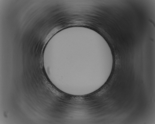 X0000103301370200809261303