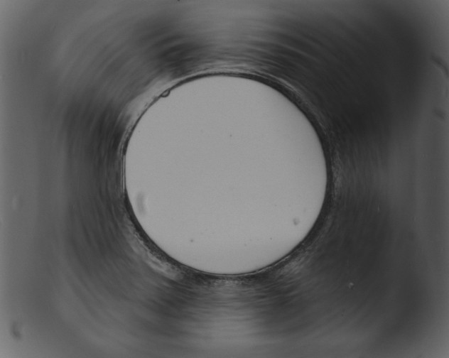 X0000103301371200809261303