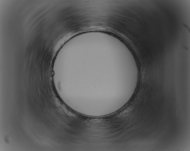 X0000103301373200809261303