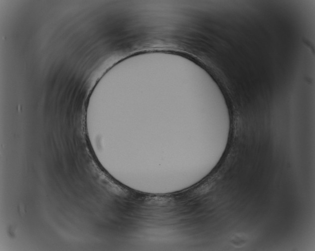 X0000103301374200809261303