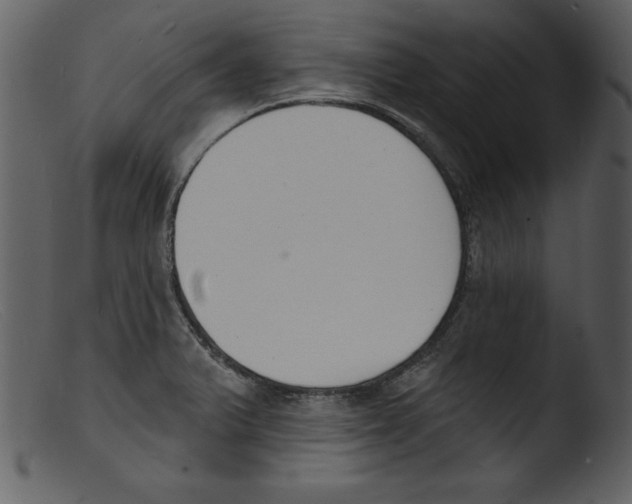 X0000103301375200809261303